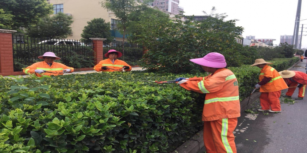 新站區(qū)道路清掃保潔、綠化管養(yǎng)項目